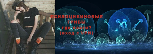 дурь Приозерск