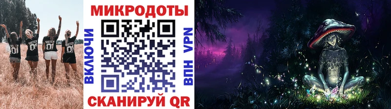дарк нет телеграм Руза Галлюциногенные грибы Magic Shrooms